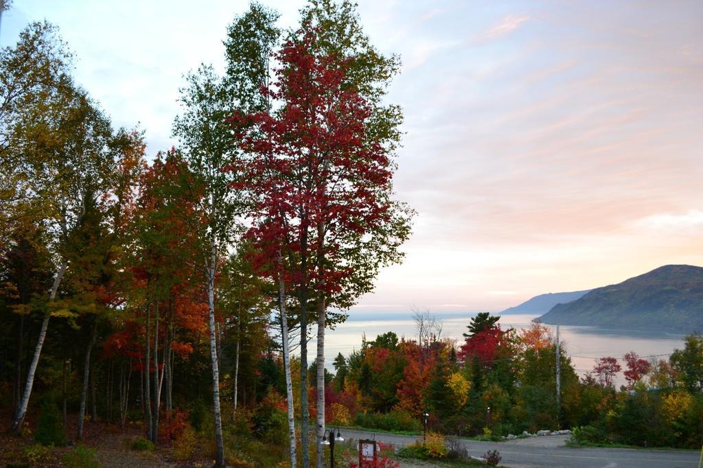 Gite Nature Et Pinceaux Baie-Saint-Paul Exterior photo